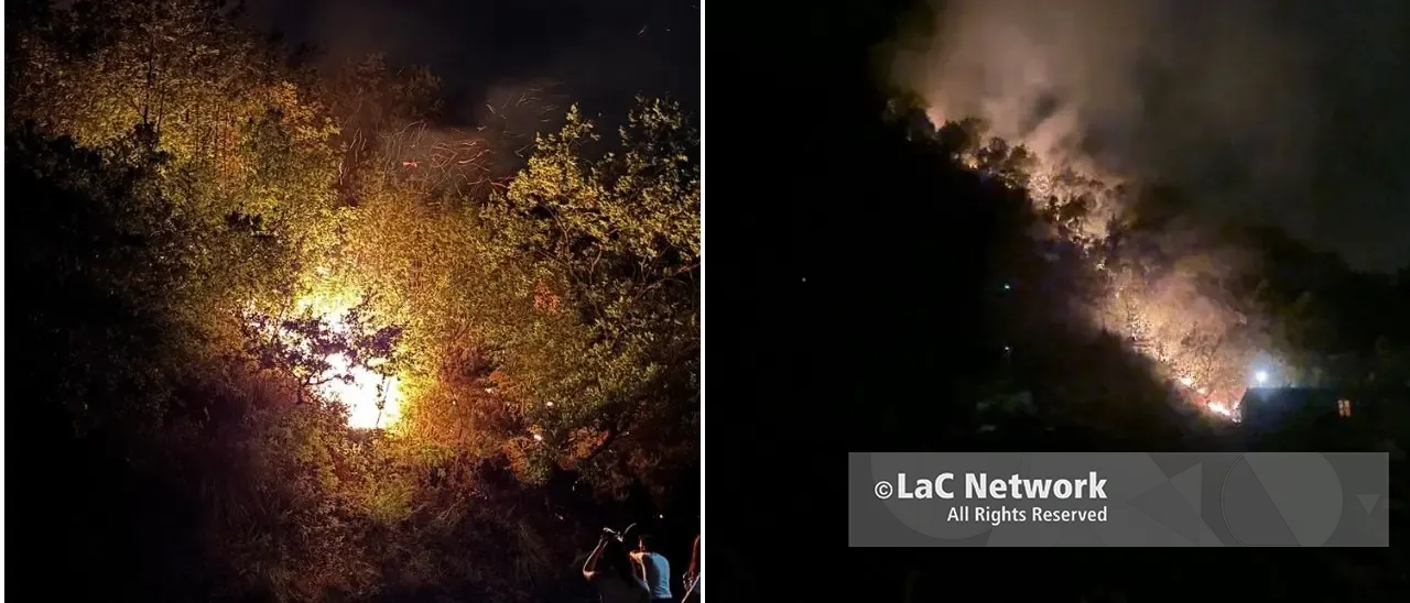 Incendio sulla Sp 257 a Carolei: residenti in strada per proteggere le proprie case dalle fiamme\u00A0–\u00A0VIDEO\u00A0\n