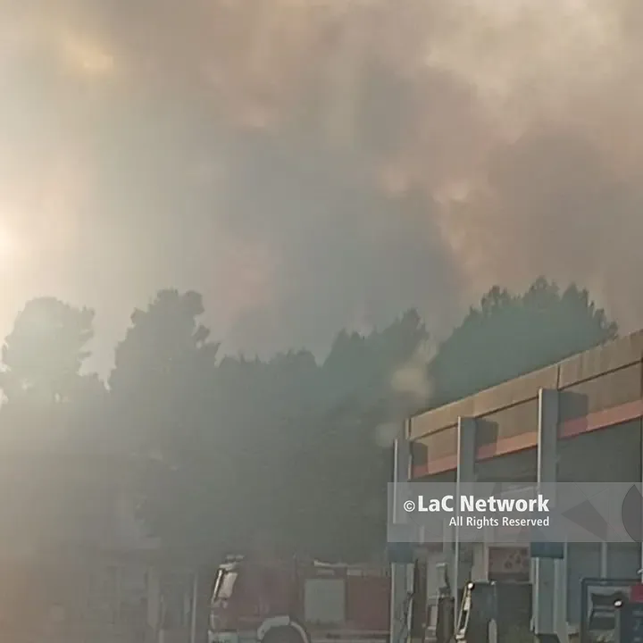 Castrovillari e Pollino in fiamme, Canadair sul Monte Manfriana mentre l’aria diventa irrespirabile | VIDEO\n