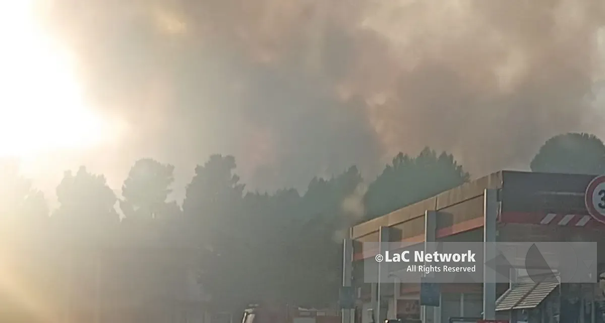 Castrovillari e Pollino in fiamme, Canadair sul Monte Manfriana mentre l’aria diventa irrespirabile | VIDEO\n