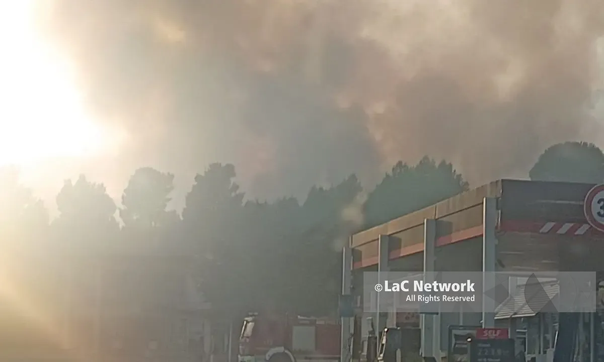 Castrovillari e Pollino in fiamme, Canadair sul Monte Manfriana mentre l’aria diventa irrespirabile | VIDEO\n