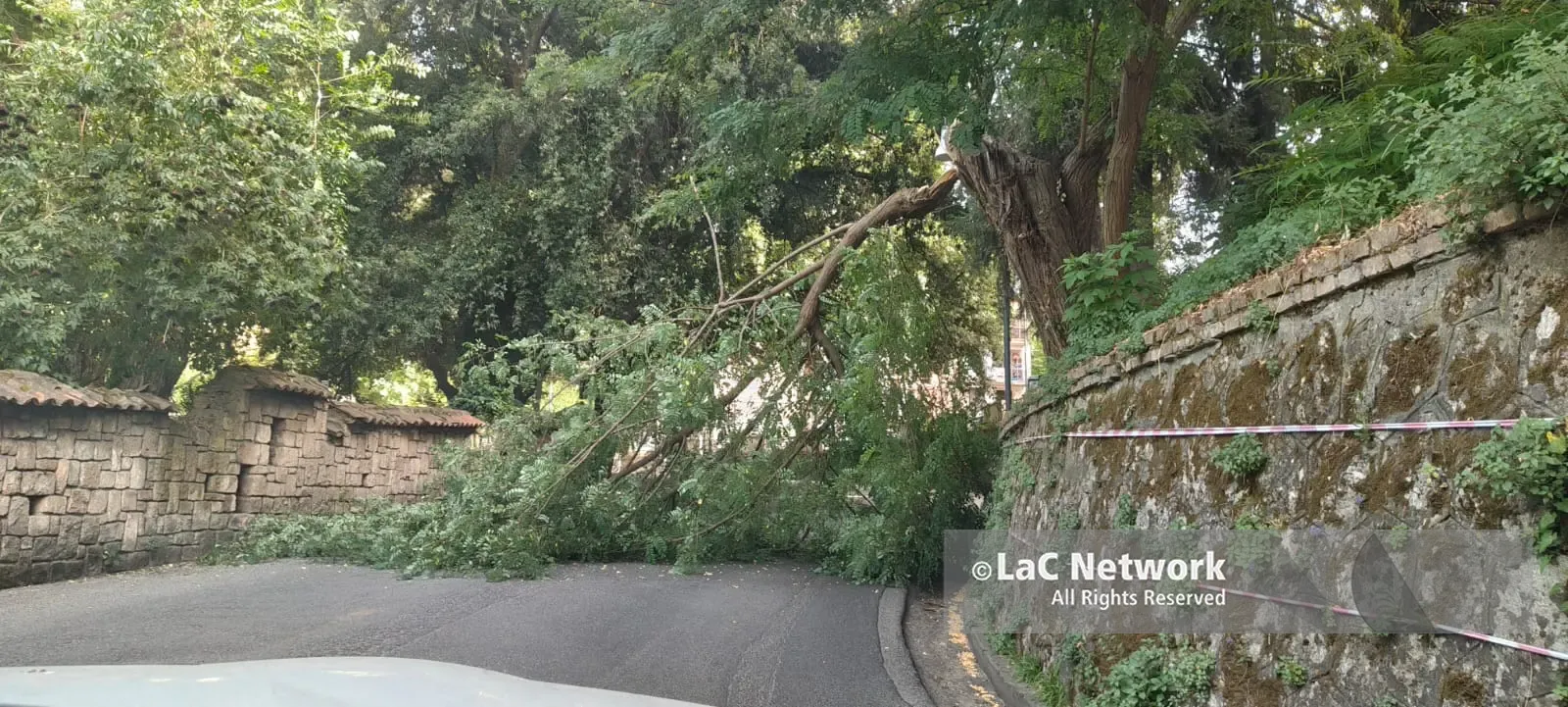 Cosenza, albero cade in via Paradiso: disagi nel centro storico\n