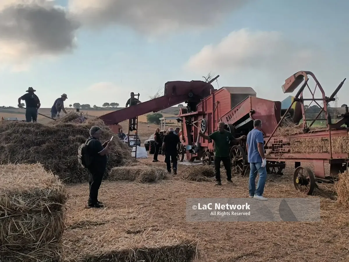 Dalla Festa della trebbiatura di Maierato i contadini dicono “No” al fotovoltaico nei campi del grano Rosìa