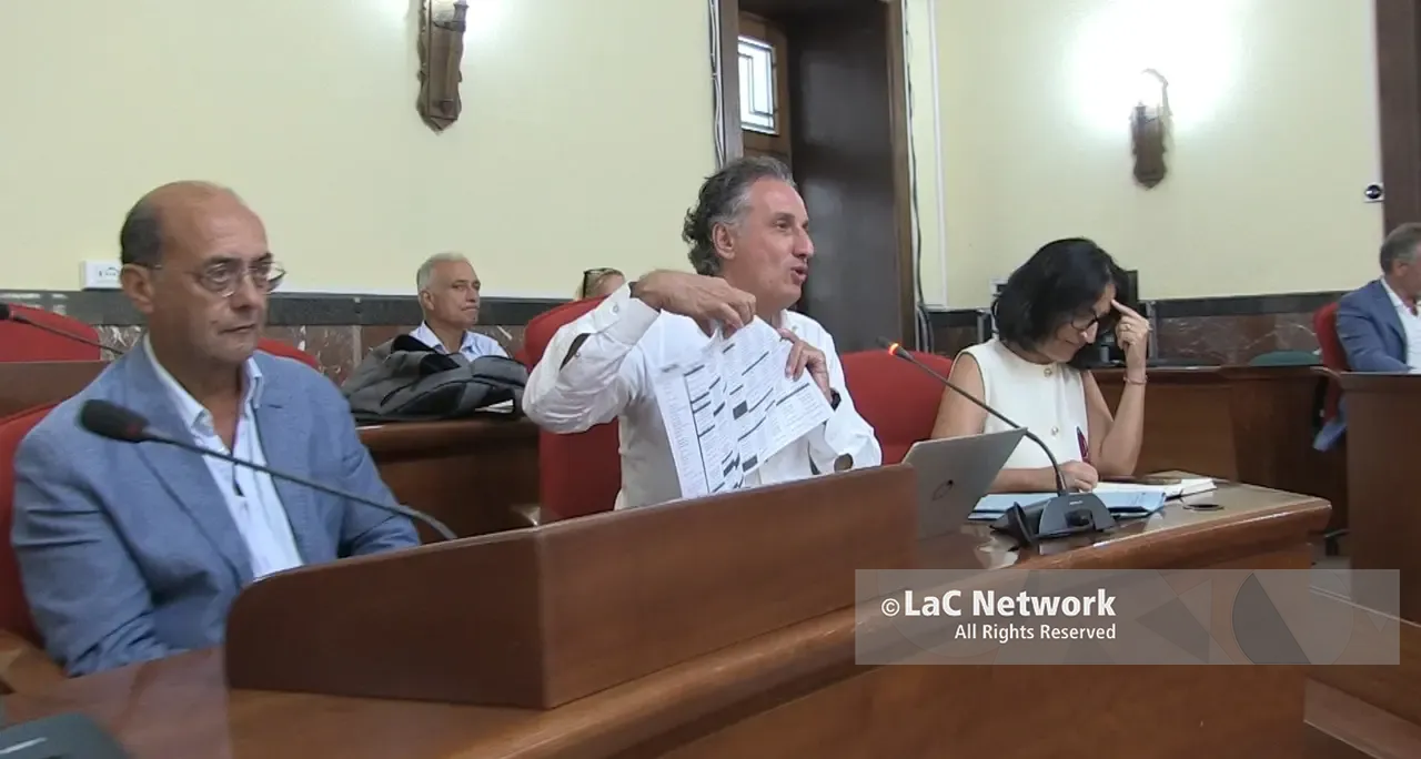 Randagismo e guardie mediche, le altre emergenze al centro della Conferenza dei sindaci. Ecco i Comuni vibonesi disposti a ospitare il canile provinciale\n