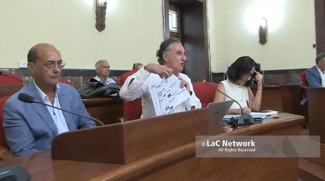 Randagismo e guardie mediche, le altre emergenze al centro della Conferenza dei sindaci. Ecco i Comuni vibonesi disposti a ospitare il canile provinciale\n