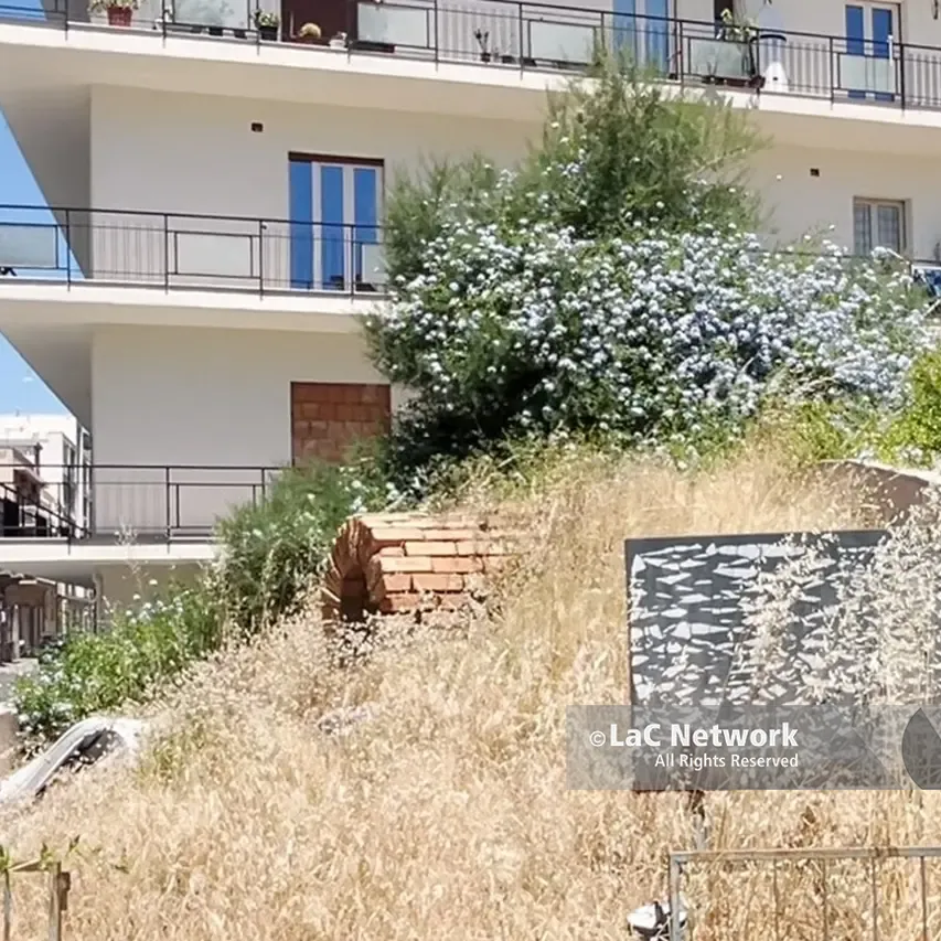 Aree archeologiche a Reggio, La Strada: «Occorre programmare un piano di manutenzione»