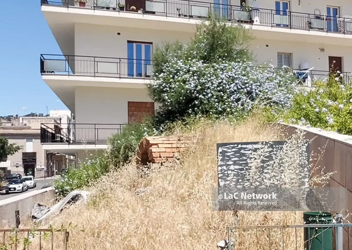Aree archeologiche a Reggio, La Strada: «Occorre programmare un piano di manutenzione»