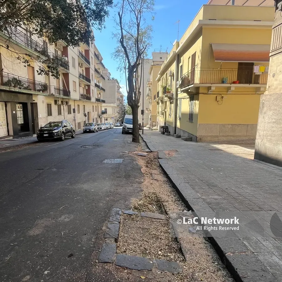 Reggio, via Melacrino spogliata di rami e alberi, il residente Piero Polimeni: «Potature selvagge. Chiediamo di conoscere il piano del Comune»\n\n\n