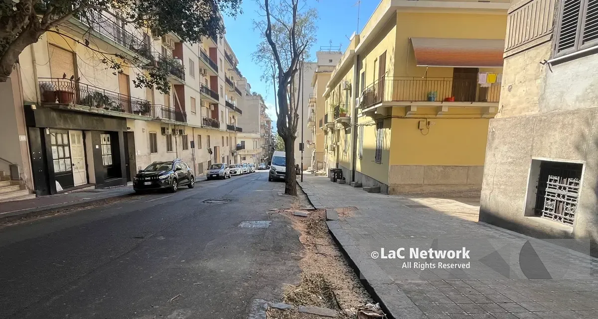 Reggio, via Melacrino spogliata di rami e alberi, il residente Piero Polimeni: «Potature selvagge. Chiediamo di conoscere il piano del Comune»\n\n\n
