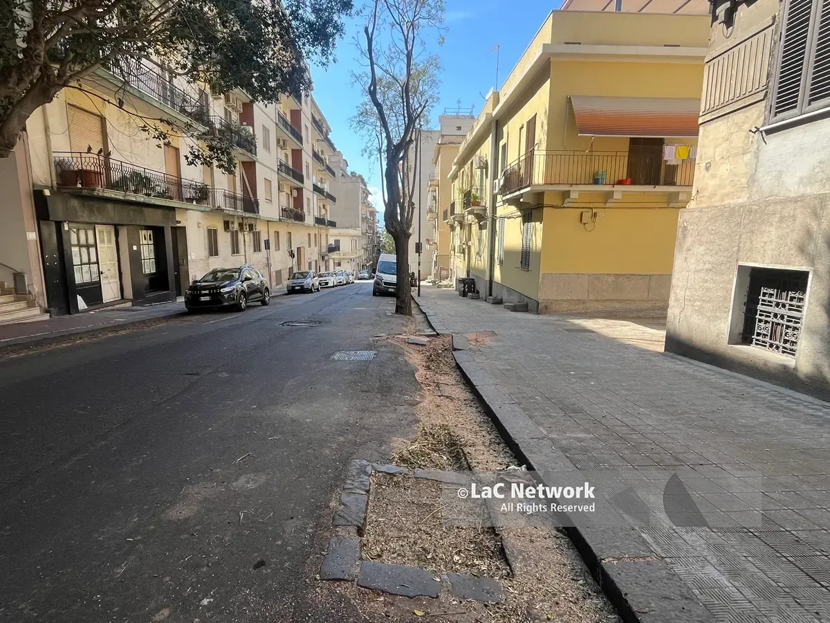Reggio, via Melacrino spogliata di rami e alberi, il residente Piero Polimeni: «Potature selvagge. Chiediamo di conoscere il piano del Comune»\n\n\n