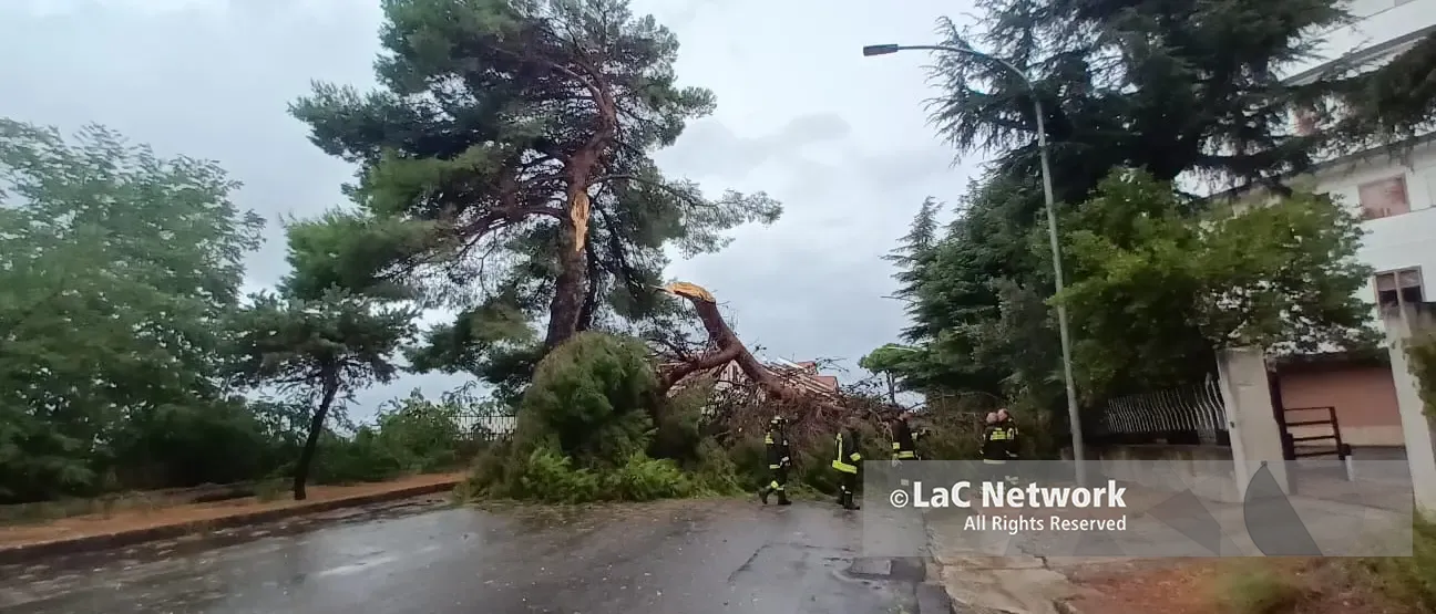 Primo temporale e Vibo va in tilt: alberi abbattuti sulle strade, una ventina gli interventi dei vigili del fuoco. In Viale della Pace tragedia sfiorata\n