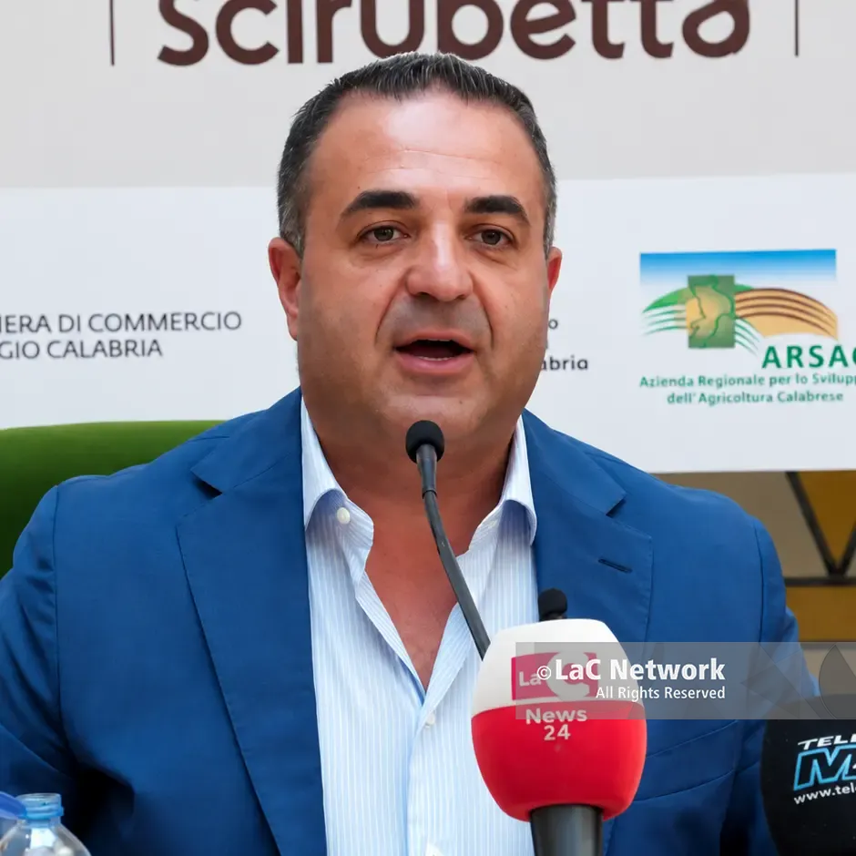 Suppletive Reggio, l’appello di Cannizzaro: «Chi vota Roscioli vota per me, sarà il mio riferimento h24»\n