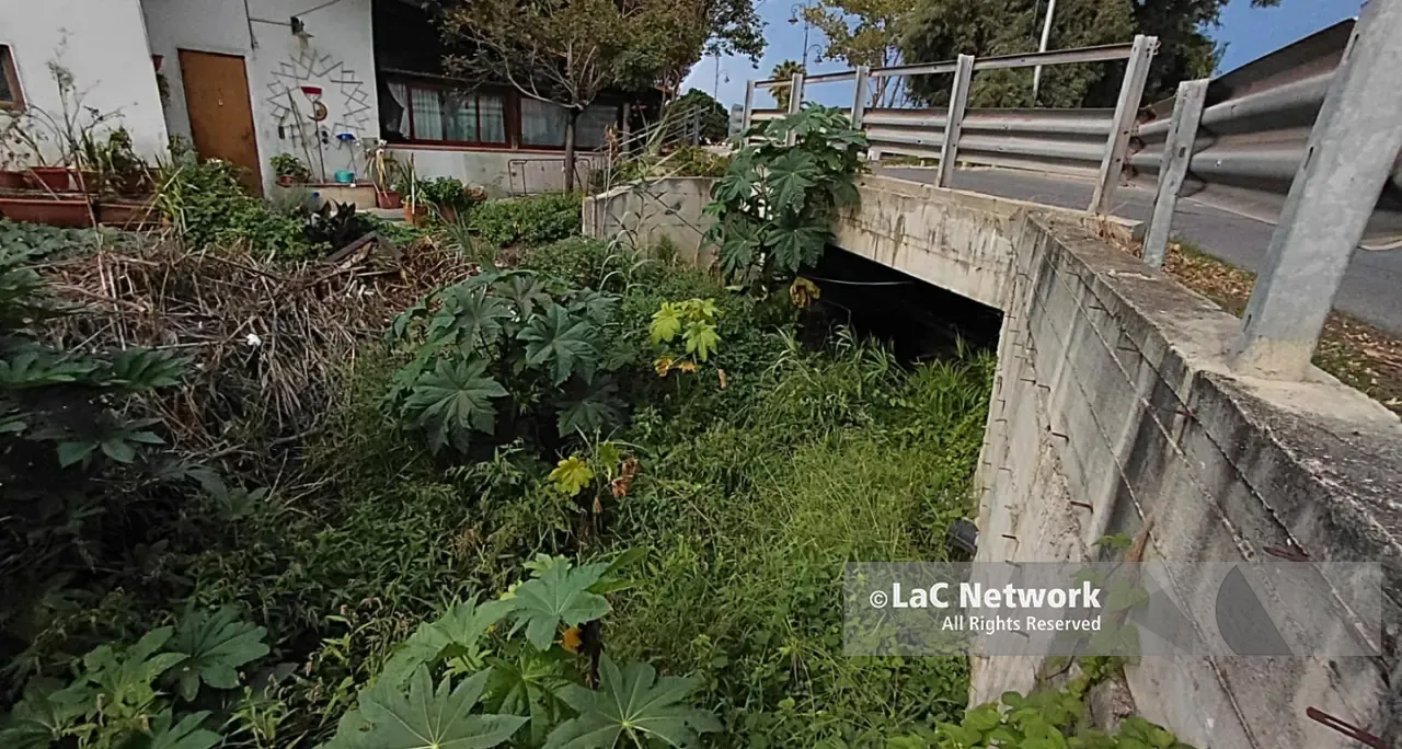 A Vibo Marina\u00A0quando piove torna la paura: torrenti invasi dalla vegetazione e interventi di messa in sicurezza ancora al palo\n