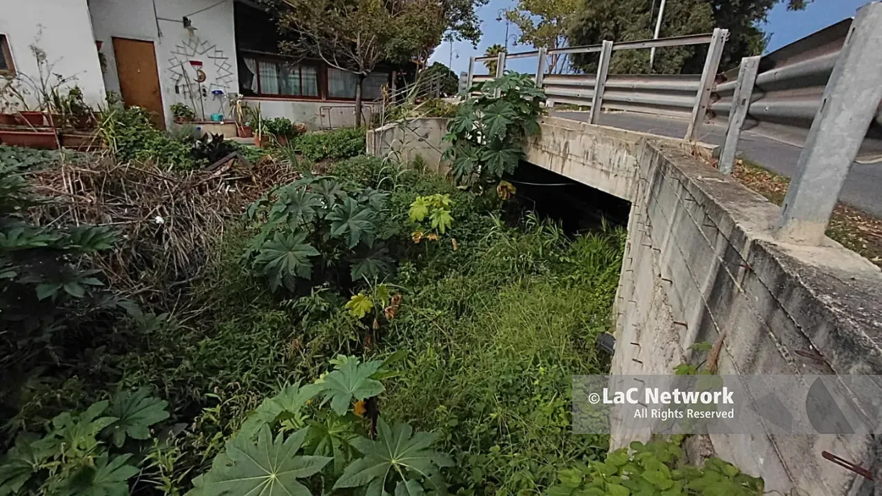 A Vibo Marina\u00A0quando piove torna la paura: torrenti invasi dalla vegetazione e interventi di messa in sicurezza ancora al palo\n