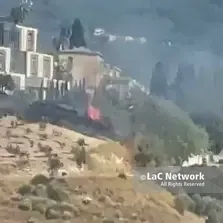 Incendio nell’area del cimitero di Cosenza, sul posto Vigili del fuoco, Comune e WWF\n