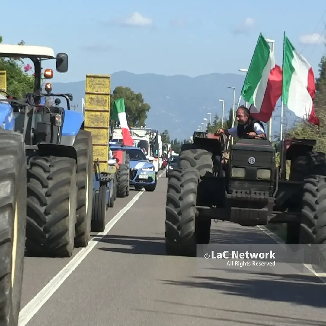 <p>Lacrime e olio, a Pizzo la protesta degli agricoltori calabresi sfocia nella disperazione: «Prezzi bassissimi e costi alti, in fumo i nostri sacrifici»</p>