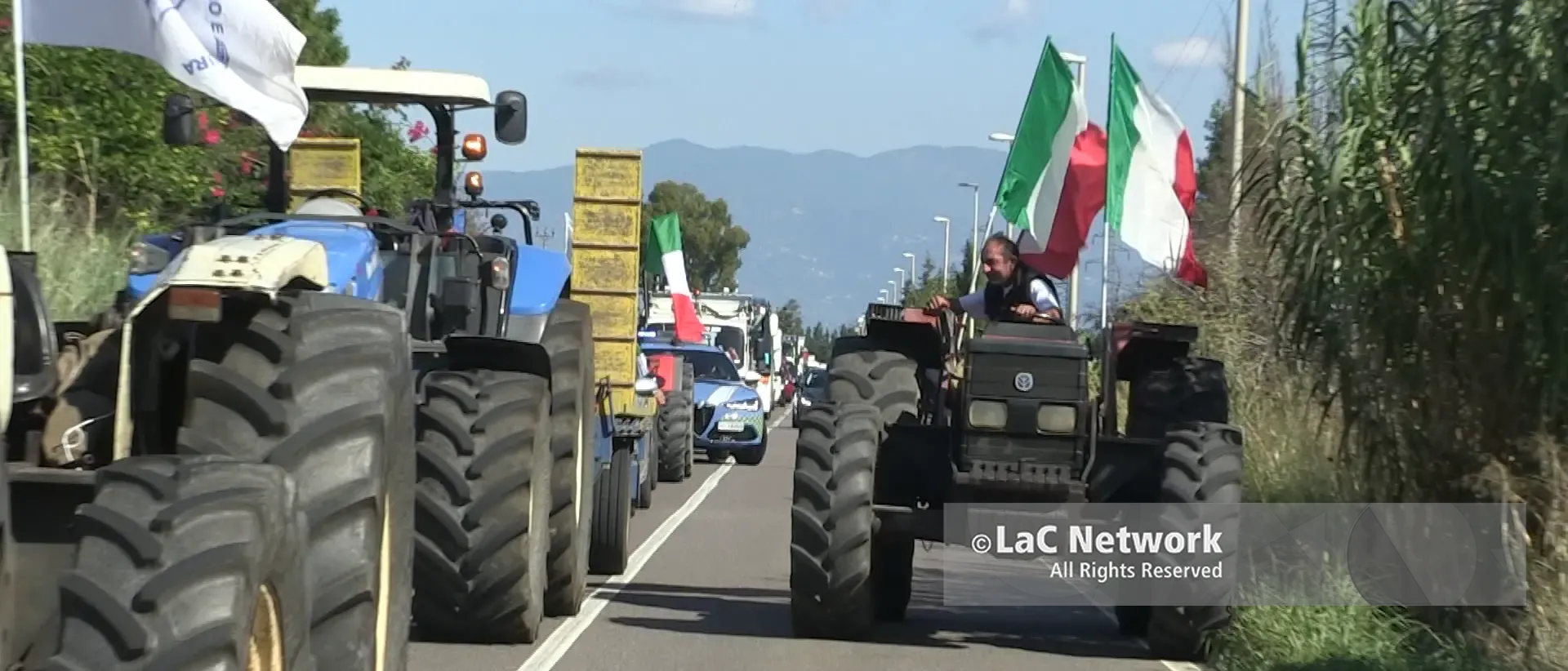 Lacrime e\u00A0olio, a Pizzo la protesta degli agricoltori calabresi sfocia nella disperazione: «Prezzi bassissimi e costi alti, in fumo i nostri sacrifici»\n