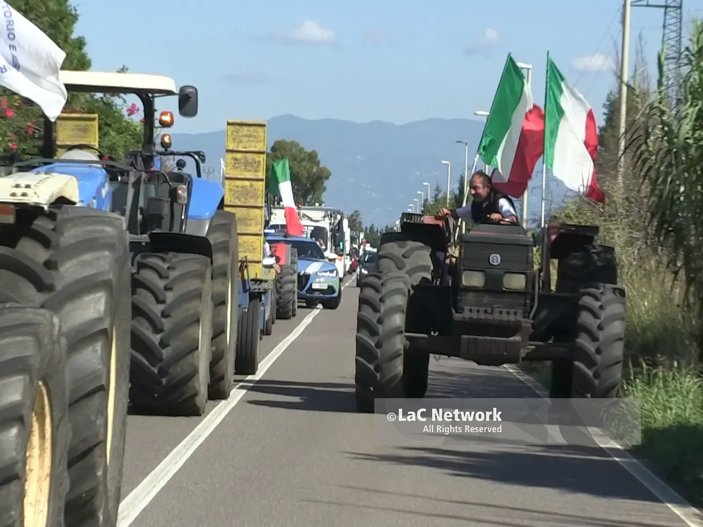 Lacrime e olio, a Pizzo la protesta degli agricoltori calabresi sfocia nella disperazione: «Prezzi bassissimi e costi alti, in fumo i nostri sacrifici»