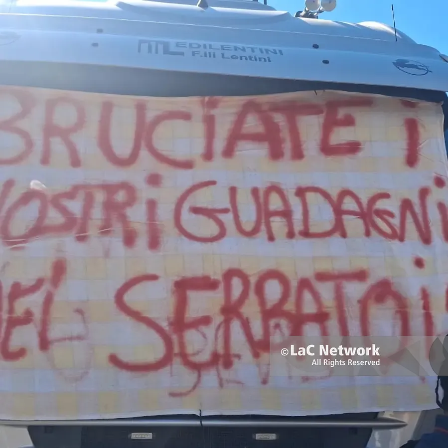 «Con 600 euro al mese come si fa a mangiare?», la rabbia di Davoli contro la politica: «Avranno sorprese alle elezioni»\n