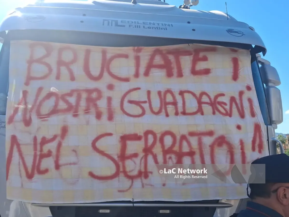«Con 600 euro al mese come si fa a mangiare?», la rabbia di Davoli contro i politici: «Avranno sorprese alle elezioni»