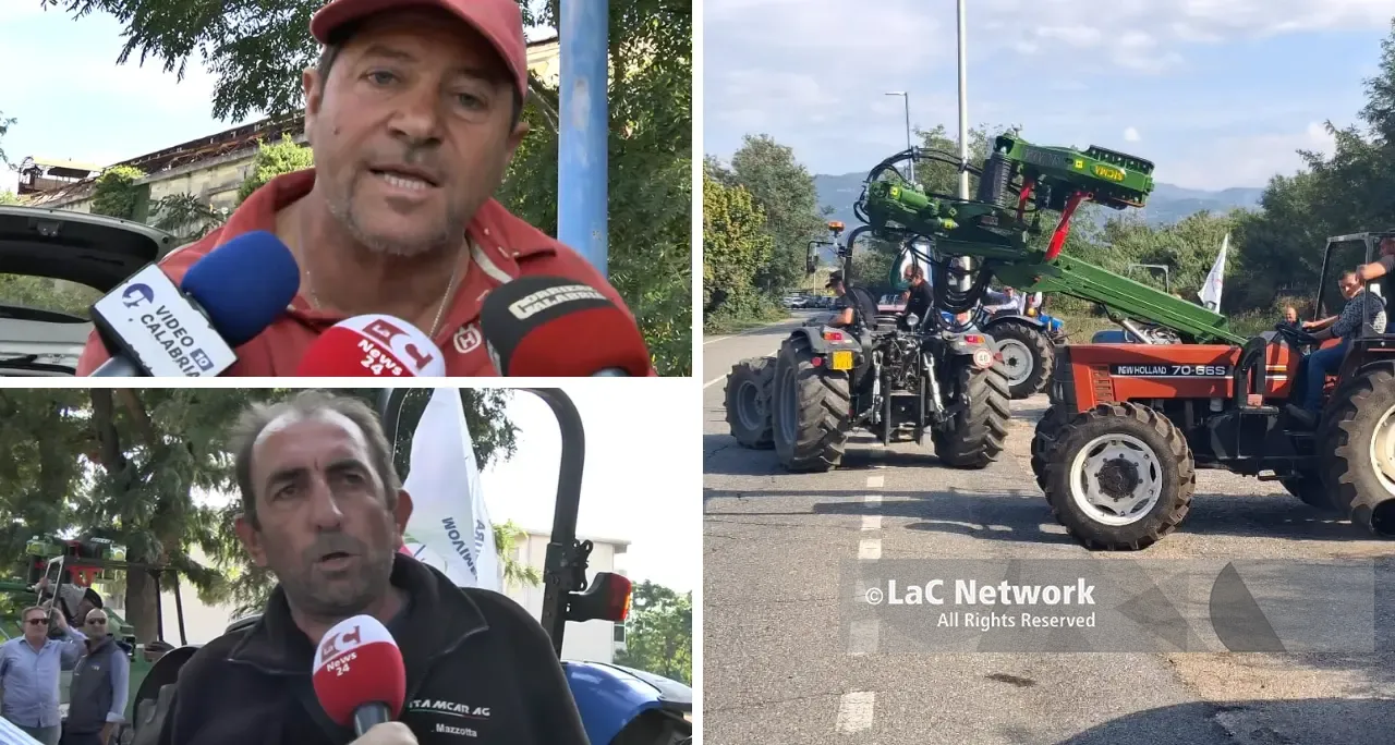 Caro gasolio e prodotti svenduti, gli agricoltori protestano a Lamezia:\u00A0«Costretti a scegliere tra licenziare gli operai o chiudere»\n