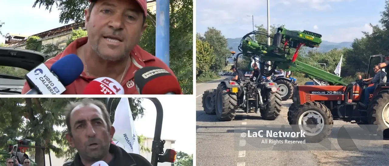 Caro gasolio e prodotti svenduti, gli agricoltori protestano a Lamezia:\u00A0«Costretti a scegliere tra licenziare gli operai o chiudere»\n
