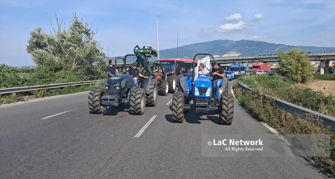 Trattori a Lamezia, la rabbia degli agricoltori: «Così non si può andare avanti» | VIDEO-FOTO\n