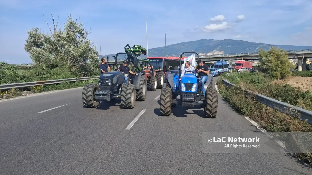 Trattori a Lamezia, la rabbia degli agricoltori: «Così non si può andare avanti» | VIDEO-FOTO\n