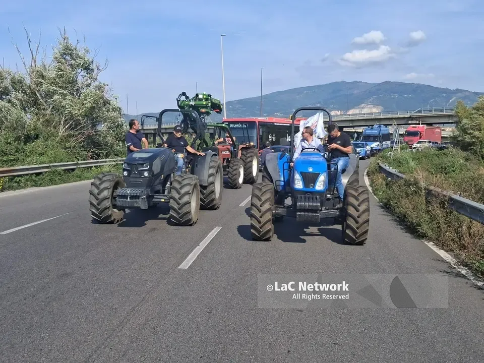 Trattori a Lamezia, la rabbia degli agricoltori: «Così non si può andare avanti» | VIDEO-FOTO