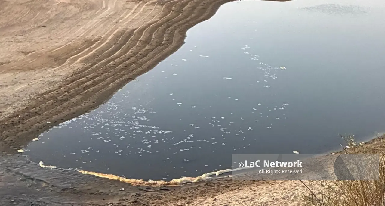 Lago Cecita, sospetto sversamento di materiale inquinante\u00A0\n