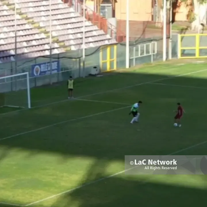 Reggina-Vibonese, invasione di campo al Granillo: un tifoso entra e segna nella porta rossoblù. Il VIDEO\n