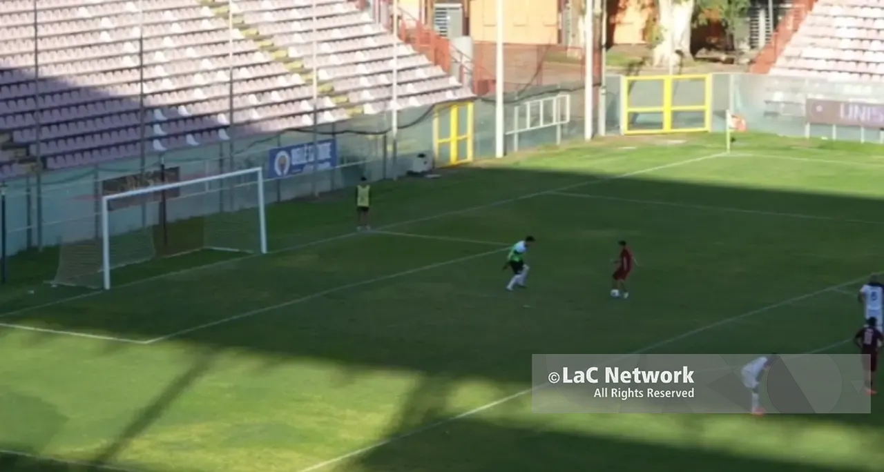 <p>Reggina-Vibonese, <span style=\"color:hsl(0, 75%, 60%);\">invasione di campo </span>al Granillo: un tifoso entra e segna nella porta rossoblù. Il <span style=\"color:hsl(0, 75%, 60%);\">VIDEO</span></p>