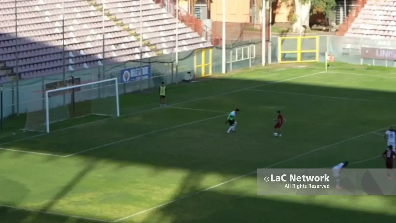 Reggina-Vibonese, invasione di campo al Granillo: un tifoso entra e segna nella porta rossoblù. Il VIDEO\n