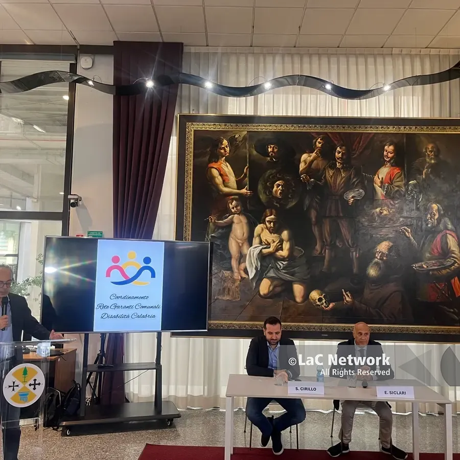 Diritti delle persone con disabilità, in Calabria solo 8 garanti su 404 comuni: il Consiglio regionale al lavoro per rafforzare la Rete e incentivare le nomine\n