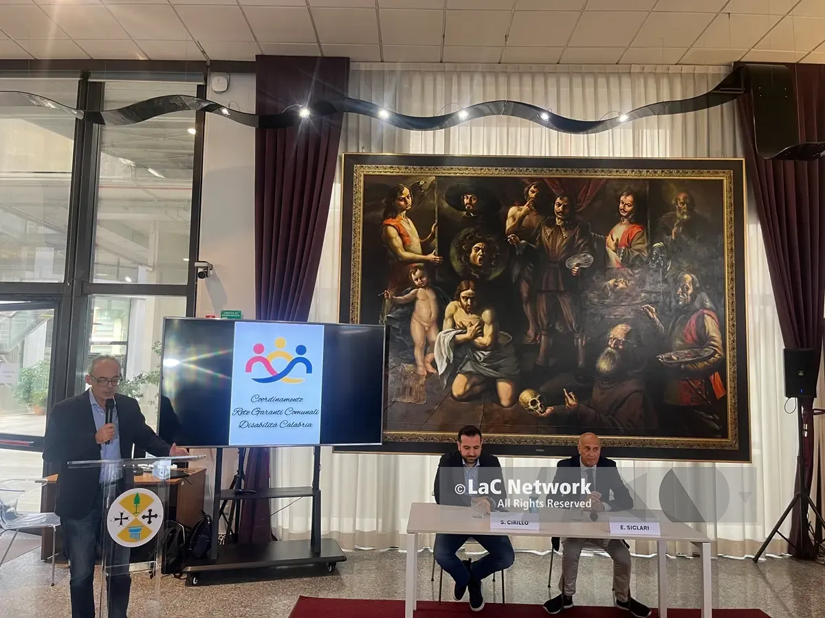 Diritti delle persone con disabilità, in Calabria solo 8 garanti su 404 comuni: il Consiglio regionale al lavoro per rafforzare la Rete e incentivare le nomine\n