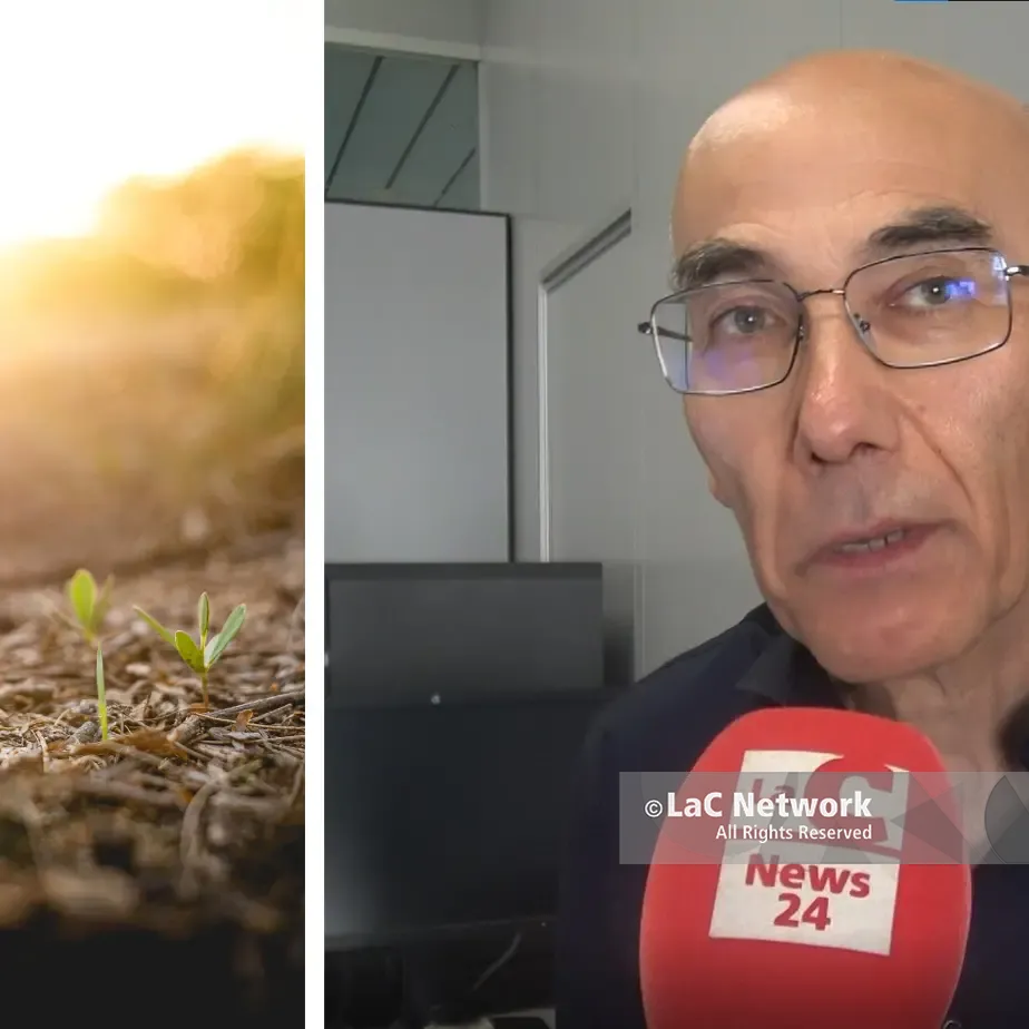 Il suolo\u00A0alleato prezioso contro il cambiamento climatico, Buttafuoco (Cnr): «Gli agricoltori hanno un ruolo fondamentale»\n